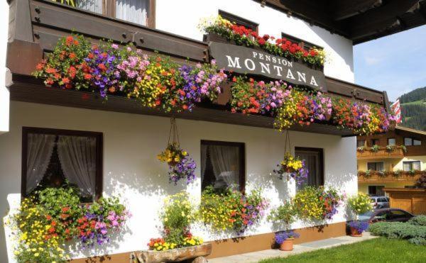 Pension Montana Wagrain Εξωτερικό φωτογραφία